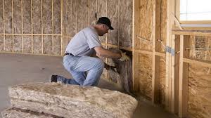 Best Crawl Space Insulation  in Fort Plain, NY